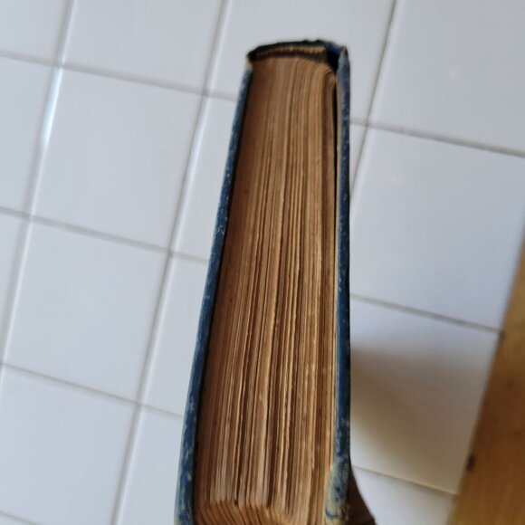 My Native Land By James Cox Illustrated Hardcover 1903 Vintage Book Staging Deco - Picture 10 of 11